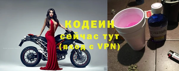 индика Нефтекумск