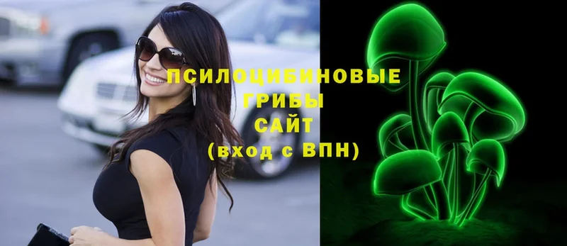 Псилоцибиновые грибы Psilocybe  Красноуральск 